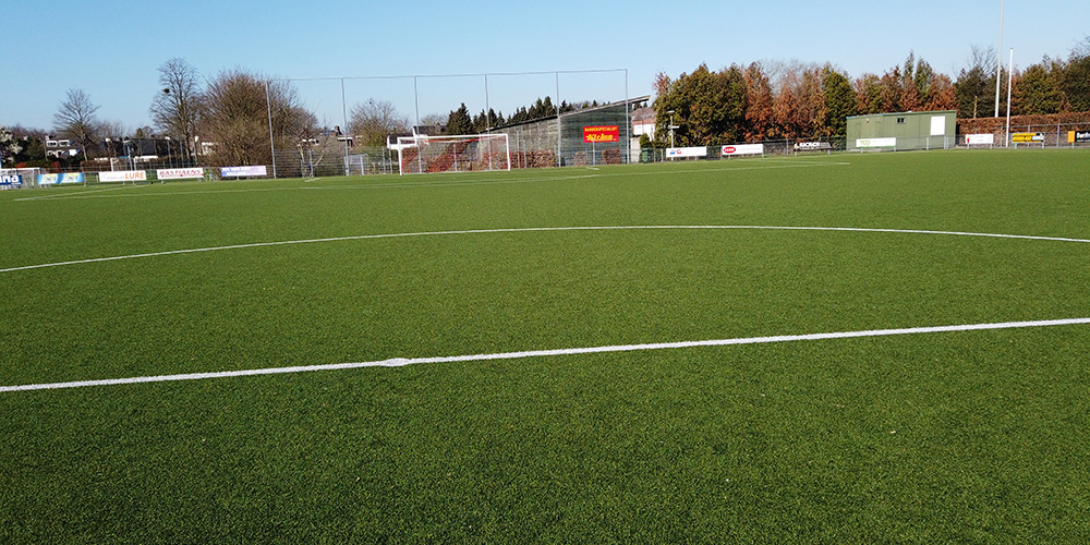 Condensed Guide to Buying an Artificial Turf